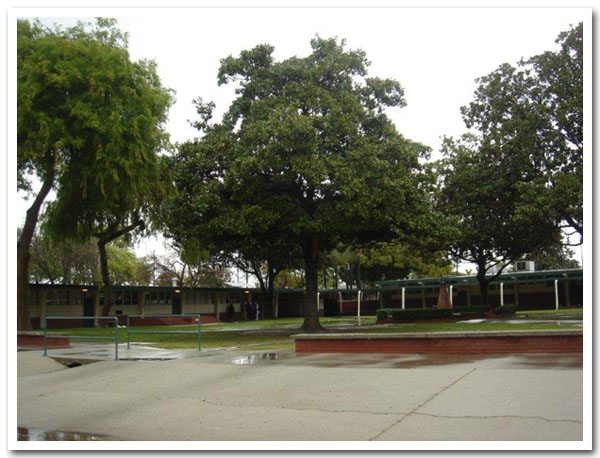 The Quad After a Rain