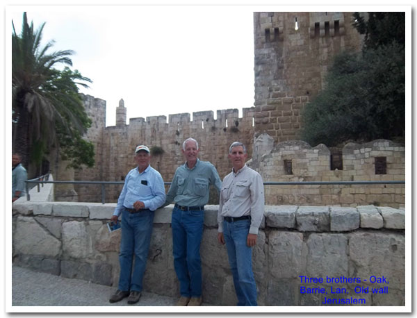 Three Brothers - Oak, Barrie, Lan