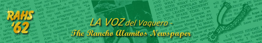 La Voz Banner